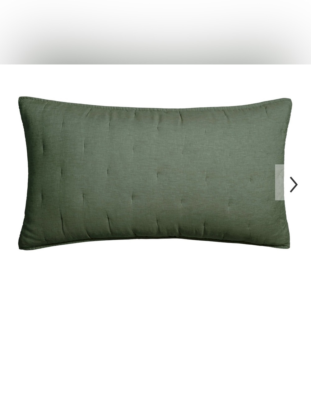Pottery Barn Belgian Flax Linen Tufted Quilted Shams 2-king - color Cypress NEW